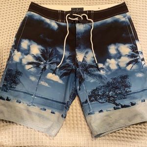 American eagle swim trunks